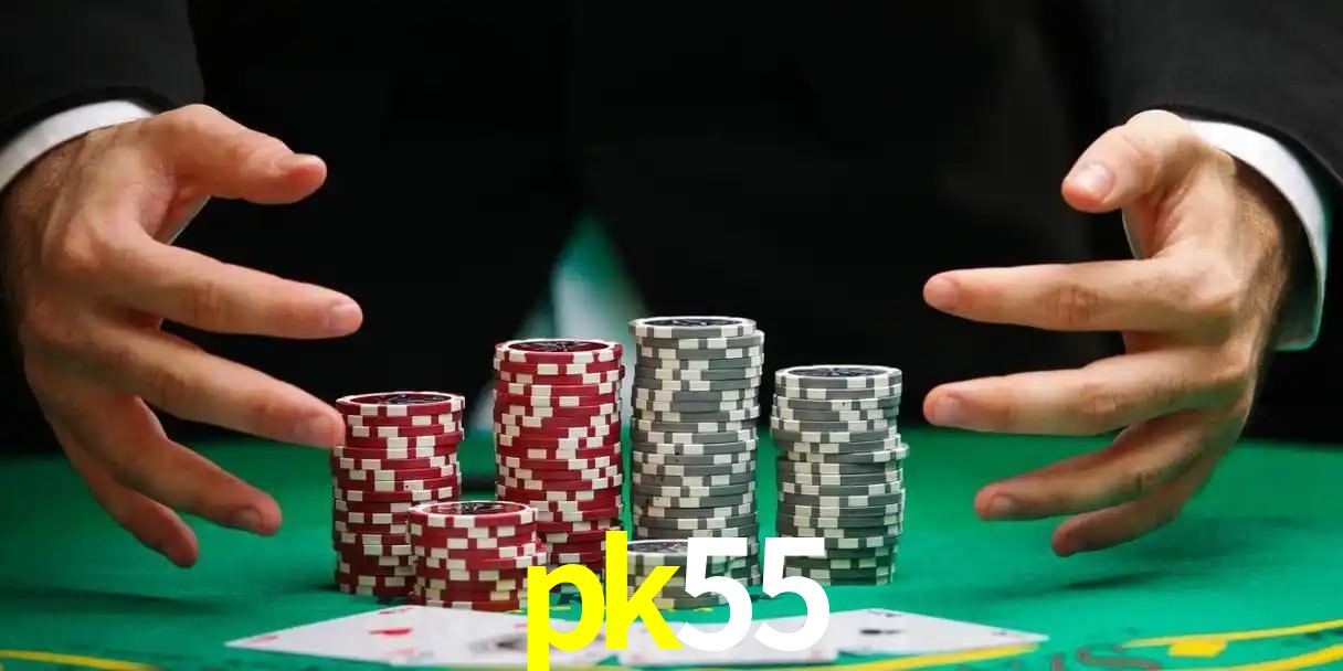 pk55 Aplicativo - pk55 visual 2