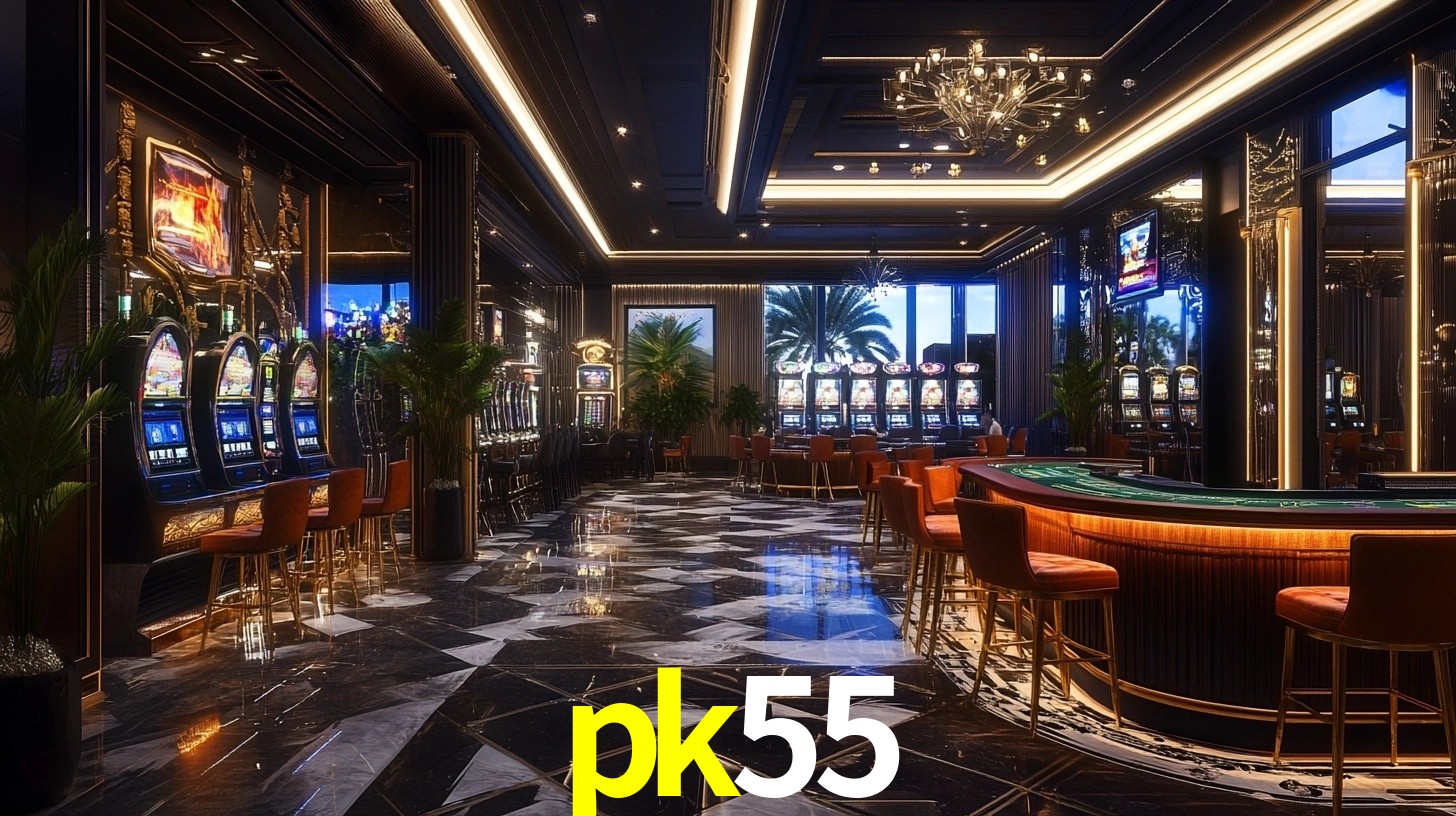 pk55 App Interface
